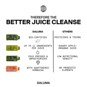 BETTER ENERGY JUICE CLEANSE — 3 DAYS