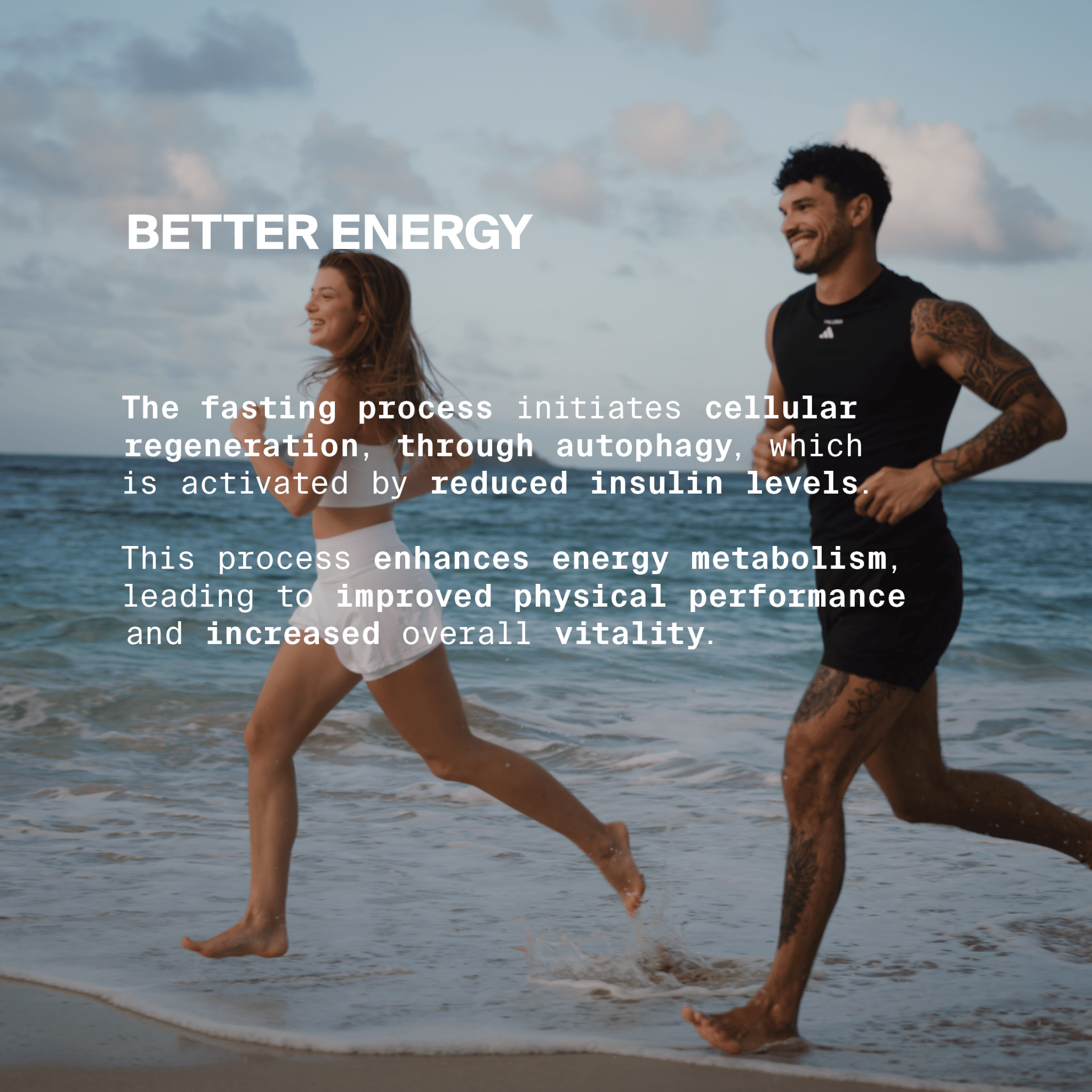 BETTER ENERGY SAFTKUR - 3 TAGE - DALUMA - D - SET - 35