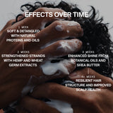 Nahaufnahme von Händen, die DALUMA CLEAN HAIR CONDITIONER auf Locken auftragen, mit Text: weicheres Haar in 1 Woche, Haaraufbau in 2 Wochen, mehr Glanz in 3 Wochen und dauerhafte Feuchtigkeit für trockenes Haar nach 4+ Wochen.