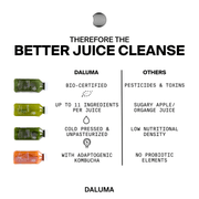 GREEN JUICE CLEANSE - 5 DAYS