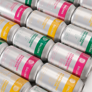 Die Dosen von DALUMA MAGIC MUSHROOM DRACHENFRUCHT KOMBUCHA 24 PACK sind diagonal angeordnet, mit leuchtend rosa, gelben und grünen Etiketten mit probiotischen Kulturen und einem minimalistischen Design auf weißem und silbernem Hintergrund.