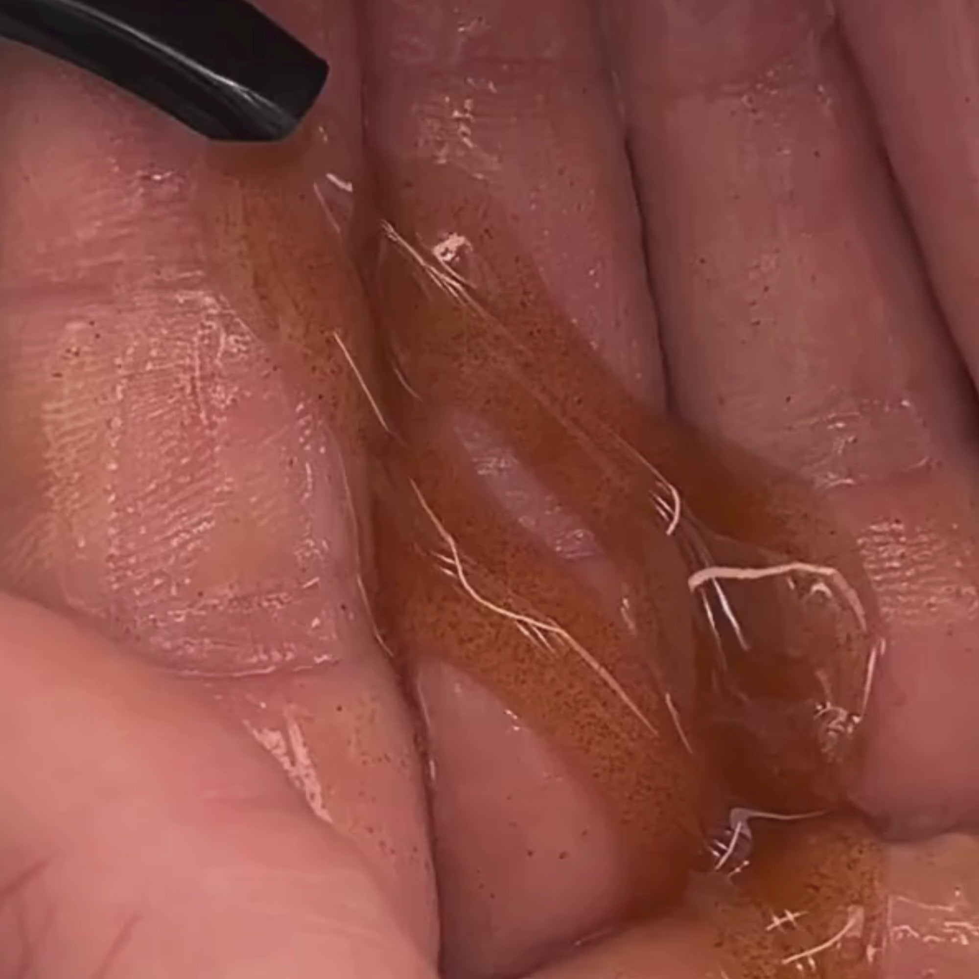 FOREST SEED GEL HAND WASH